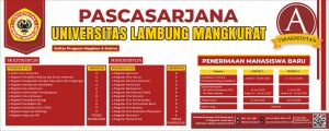 ulm pascasarjana penerimaan
